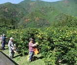 代表取締役　日野 雄策