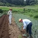 大澤 貴則
