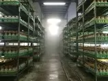 鈴木 清美