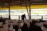 納田 明豊